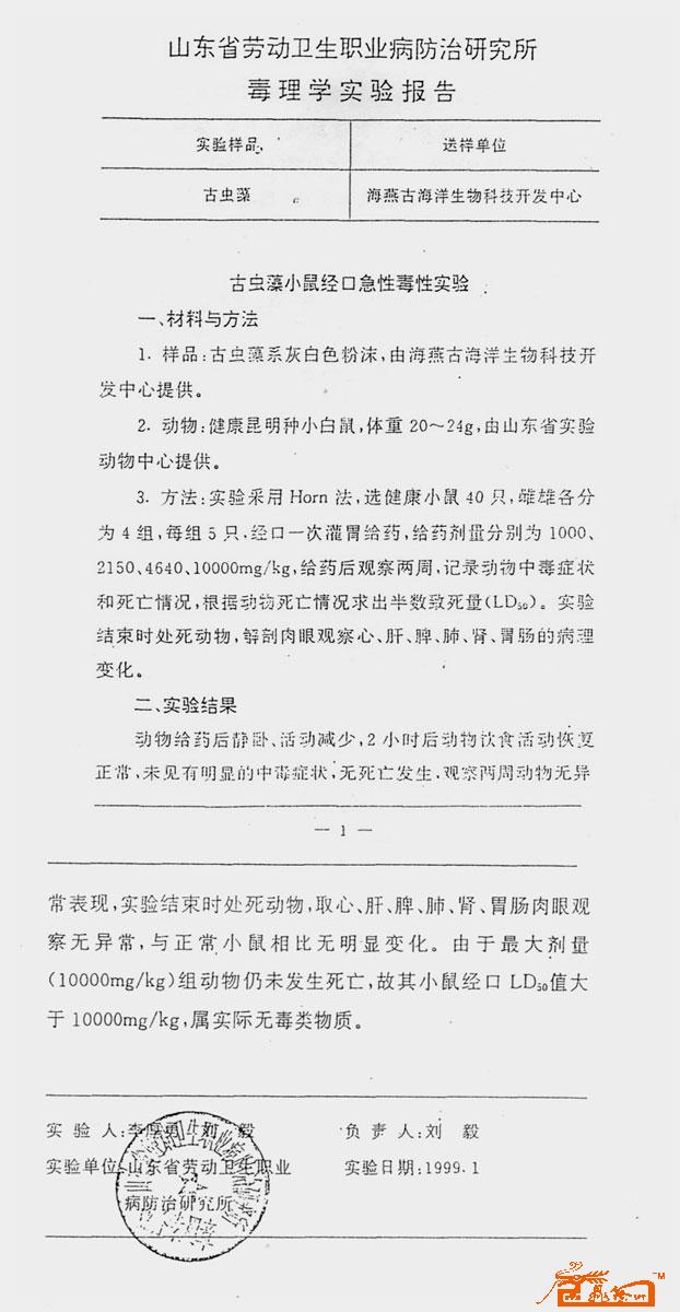 无毒报告